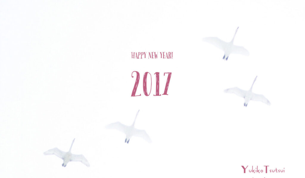 150周年のカナダと痛み止めあれこれ