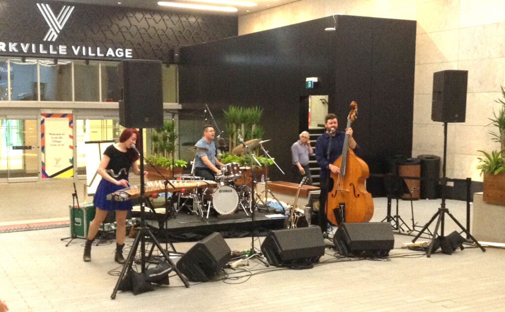 琴やギターを弾きながら歌うトロントのミュージシャン