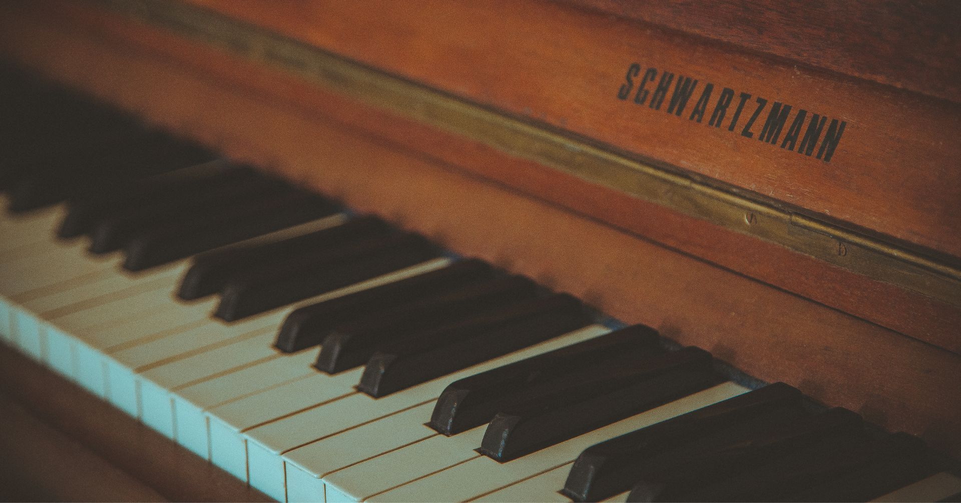 Kiiolaの音楽活動